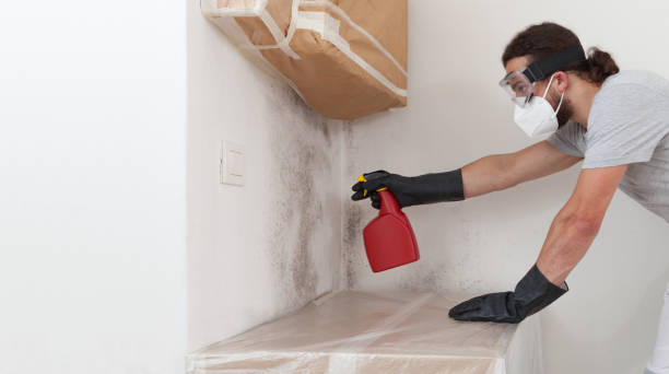 Attic Mold Remediation treatment on roof deck in Franklin Lakes